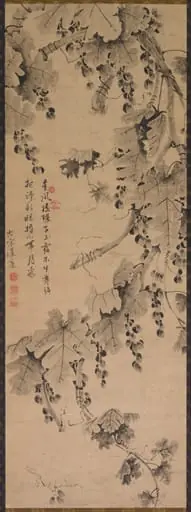 Grapevine, by Unknown