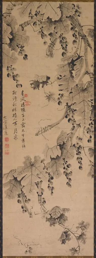 Grapevine, by Unknown