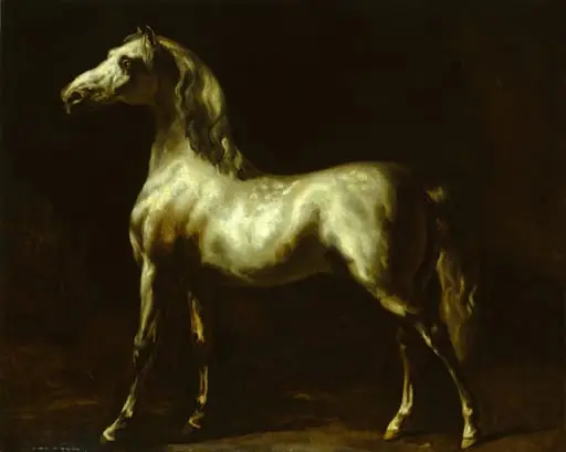 Gray Stallion, by Unknown