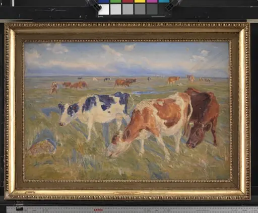 Grazing Cows on the Island of Saltholm, by Unknown