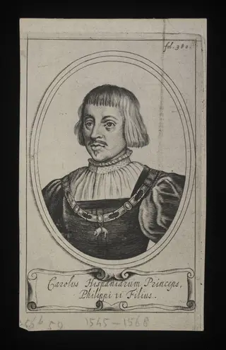H Beard Print Collection