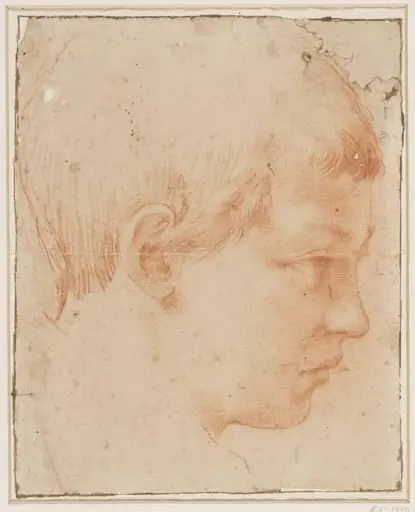 Head of a boy, by Unknown
