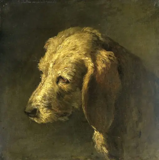 Head of a Dog, by Unknown