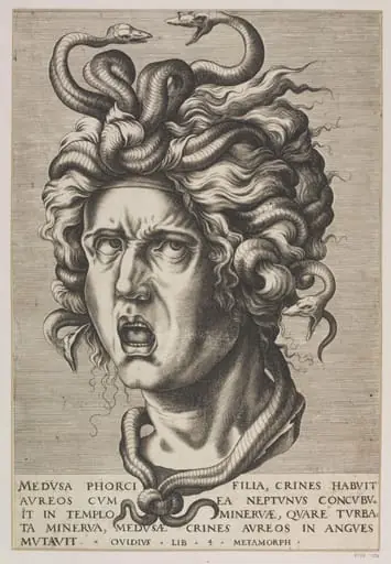Head of Medusa, by Unknown