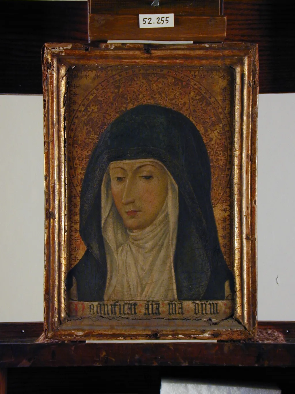 Head of the Virgin, by Unknown, unspecified