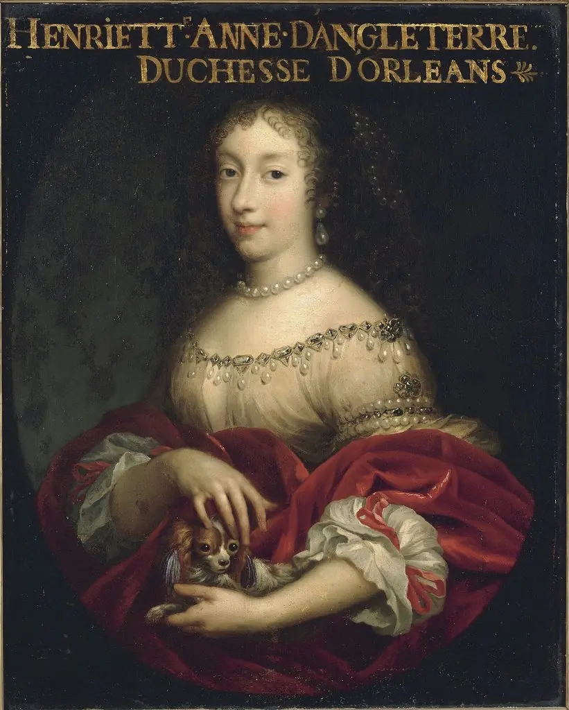 Henrietta of England, Duchess of Orleans, by Unknown, 1689