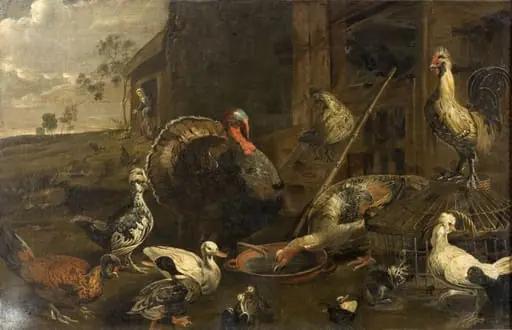Hens, Ducks and a Turkey Cock, by Unknown
