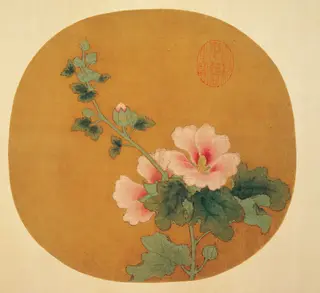 Hibiscus, by Unknown