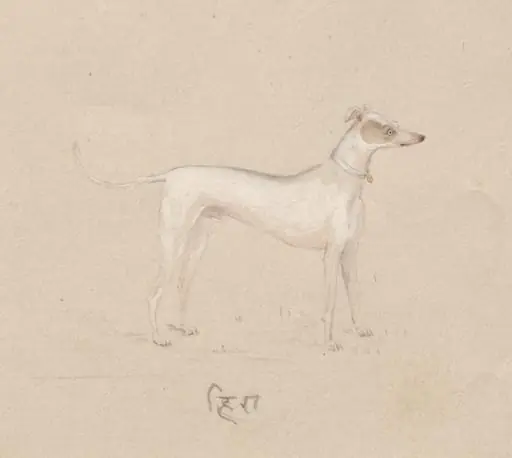 Hira, by Unknown