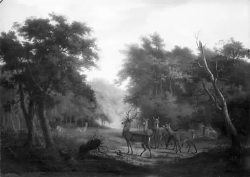 Hjorte i en skov, by Unknown