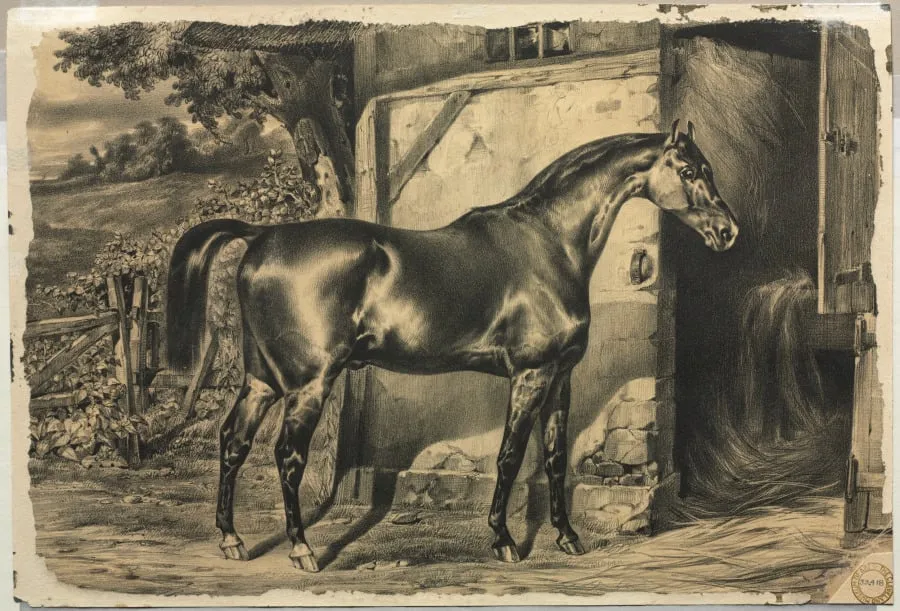 Horse in Front of a Barn (verso), by Unknown, 1820