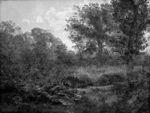 I egeskoven, by Unknown