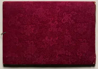 Illustrated Book of Flowers and Butterflies, by Unknown, 1804