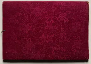 Illustrated Book of Flowers and Butterflies, by Unknown, 1850