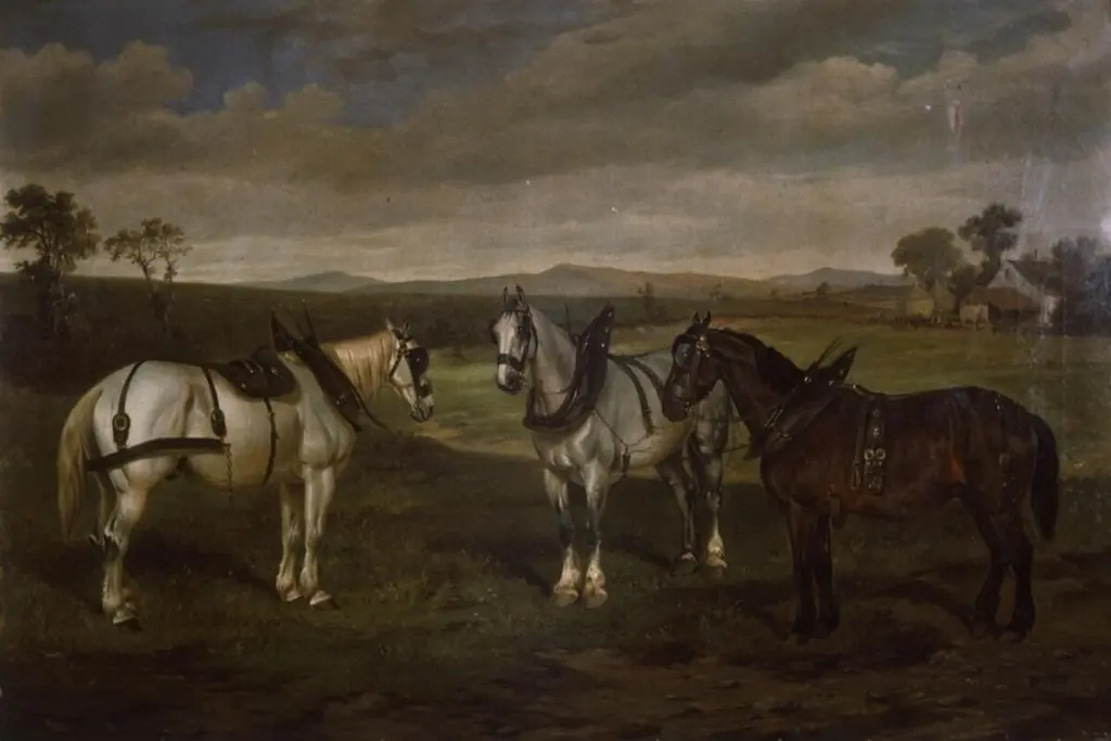 Jack Heenan, Prince George & Jack Owen, by Unknown