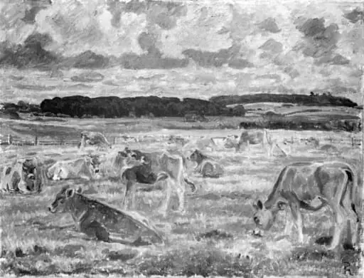 Jerseykøer, by Unknown
