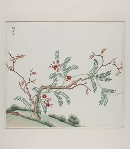 Jin pin feng, by Unknown