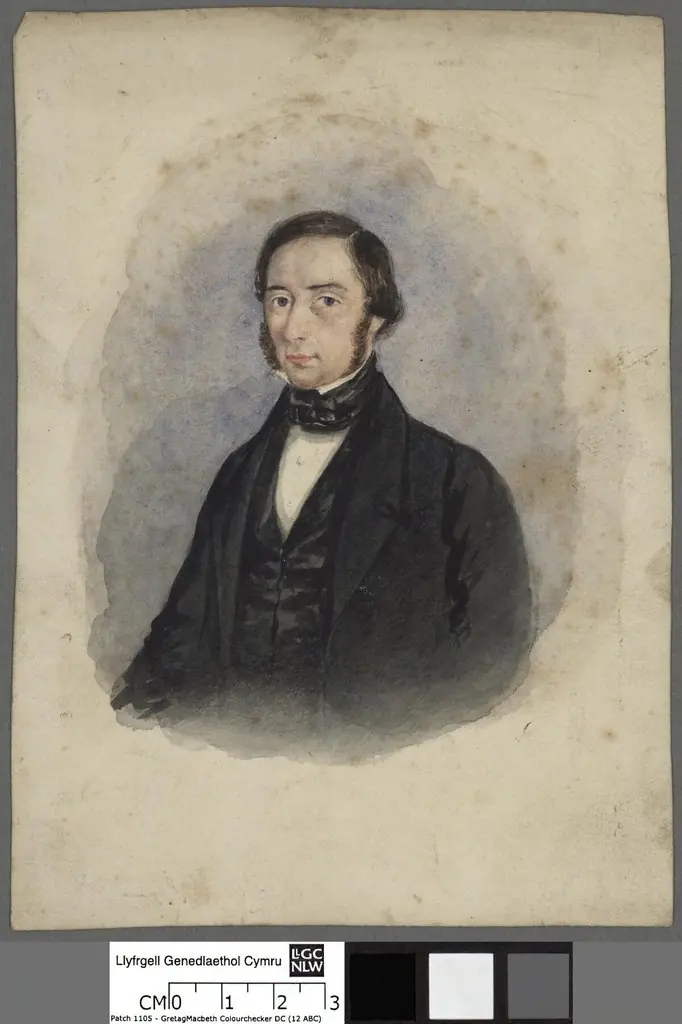 John Johnes, by Unknown