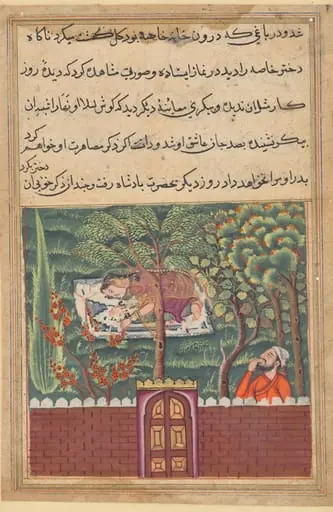 Khulasa, a vizier, sees the daughter of Khassa, another vizier, and covets her, from a Tuti-nama (Tales of a Parrot): Fifty-first Night, by Unknown