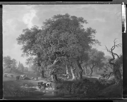 Kvæg i en skov, by Unknown