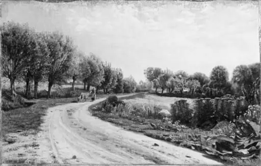 Landevej med piletræer i nærheden af Bækkeskov, by Unknown