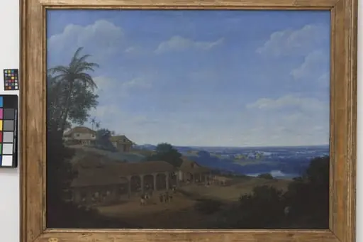 Landscape in Brazil with Sugar Plantation, by Unknown