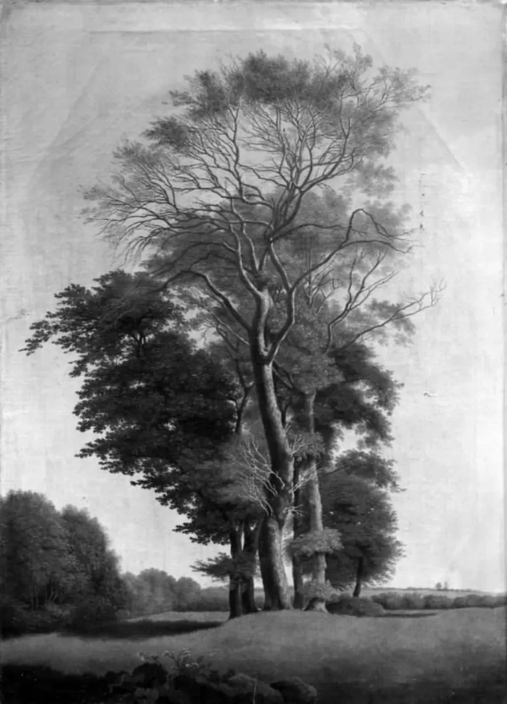 Landscape with Trees, by Unknown, unspecified, 1850