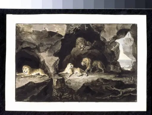 Lions and Lionesses, by Unknown