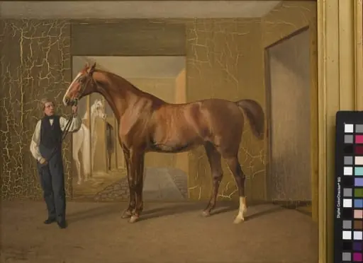 Lord Cochrane, by Unknown