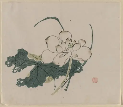 Lotus Blossom, by Unknown
