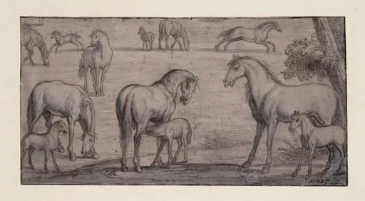 Mares and Foals, by Unknown