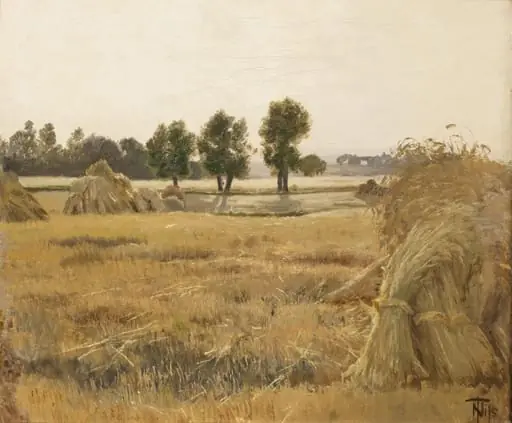 Mark med korntraver, by Unknown