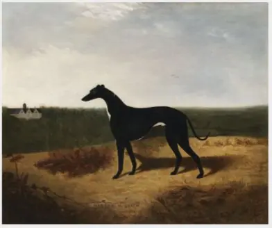 Master McGrath (1866-c.1871), Irish Racing Greyhound, by Unknown