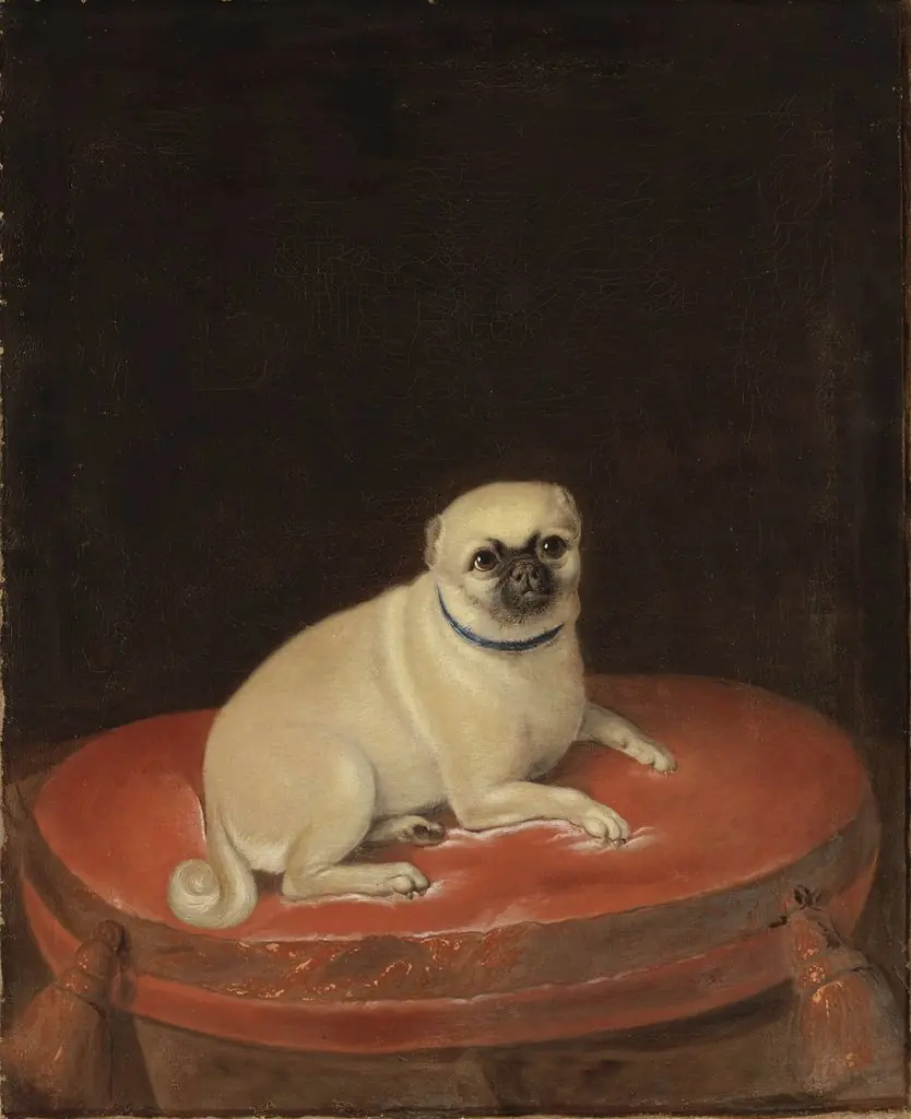 Mops, by Unknown