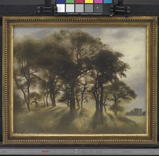 Near Fortunen, Jægersborg Deer Park, North of Copenhagen, by Unknown