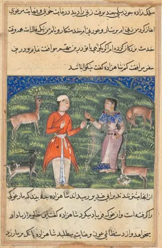 Nikfal, the fortune of the prince in the form of a woman, offers to accompany him, from a Tuti-nama (Tales of a Parrot): Eighteenth Night, by Unknown