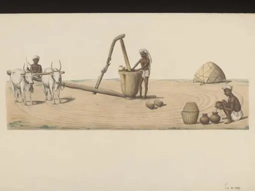 Oil monger pressing good oil, by Unknown
