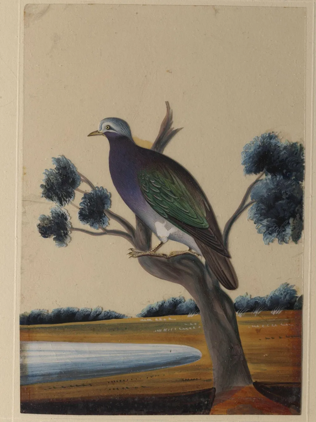 One of nine drawings of birds., by Unknown, paint, 1860