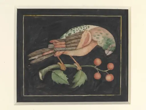 One of seven details of pietra-dura work showing flowers and birds on the walls of the Diwan-i Am, Delhi , Palace and fort, by Unknown