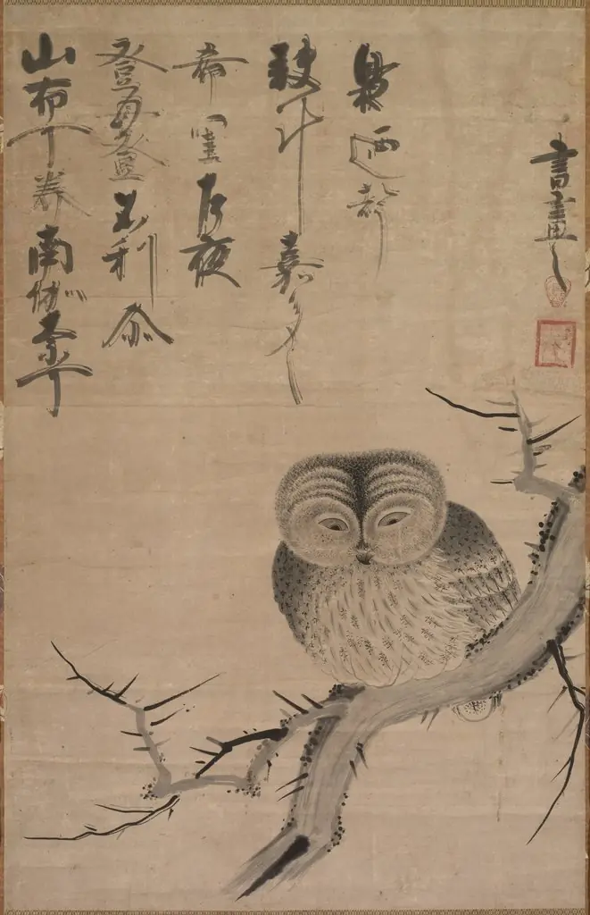 Owl, by Unknown