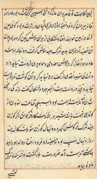 Page from Tales of a Parrot (Tuti-nama): text page, by Unknown