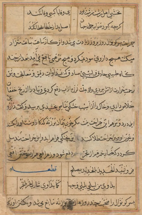Page from Tales of a Parrot (Tuti-nama): text page, by Unknown, unspecified, 1560
