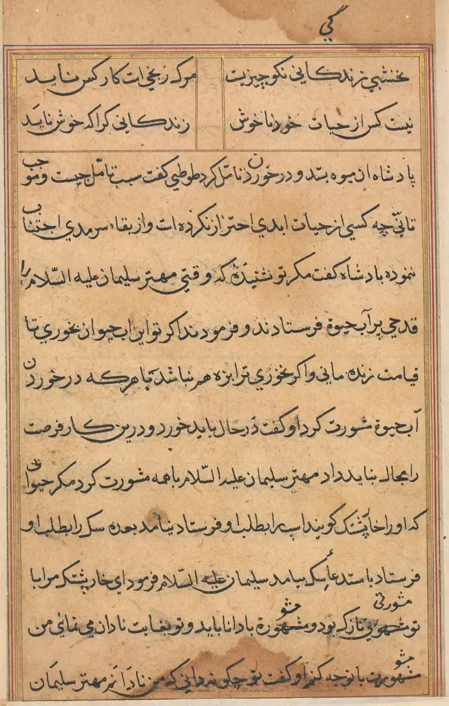 Page from Tales of a Parrot (Tuti-nama): text page, by Unknown