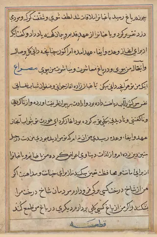 Page from Tales of a Parrot (Tuti-nama): text page, by Unknown
