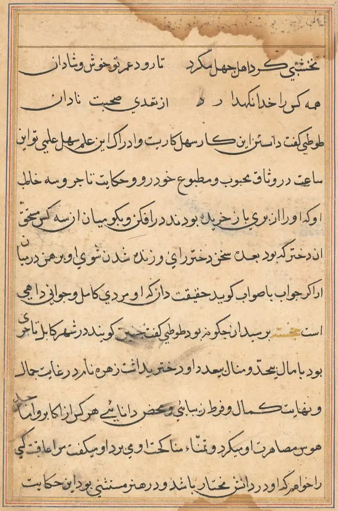 Page from Tales of a Parrot (Tuti-nama): text page, by Unknown