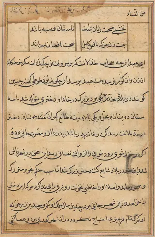 Page from Tales of a Parrot (Tuti-nama): text page, by Unknown, 1560