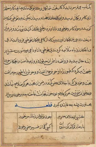 Page from Tales of a Parrot (Tuti-nama): text page, by Unknown