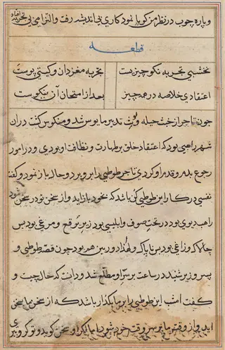 Page from Tales of a Parrot (Tuti-nama): text page, by Unknown, 1560