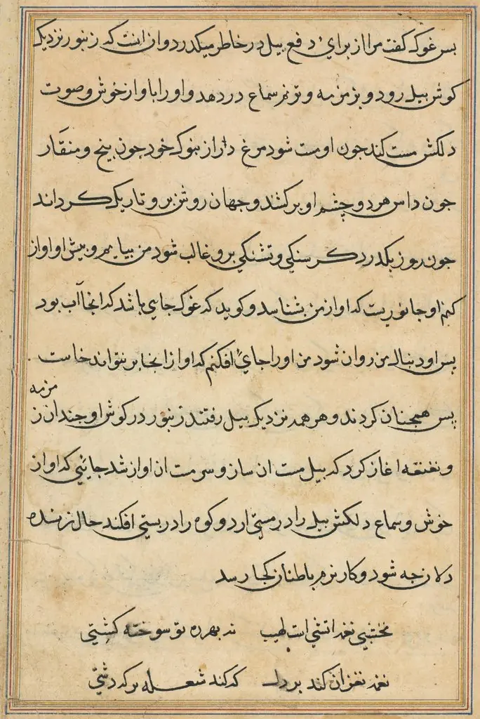 Page from Tales of a Parrot (Tuti-nama): text page, by Unknown
