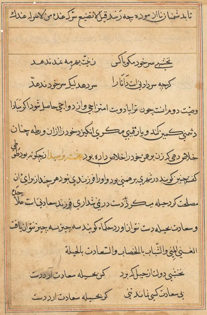 Page from Tales of a Parrot (Tuti-nama): text page, by Unknown